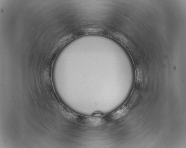 X0000073710377200608311800