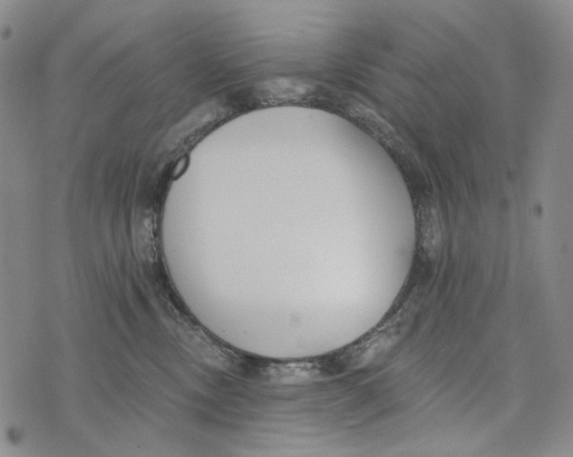 X0000073710378200608311800