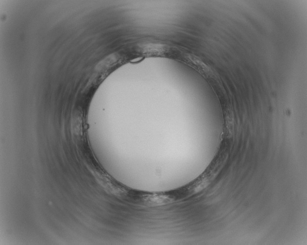 X0000073710379200608311800