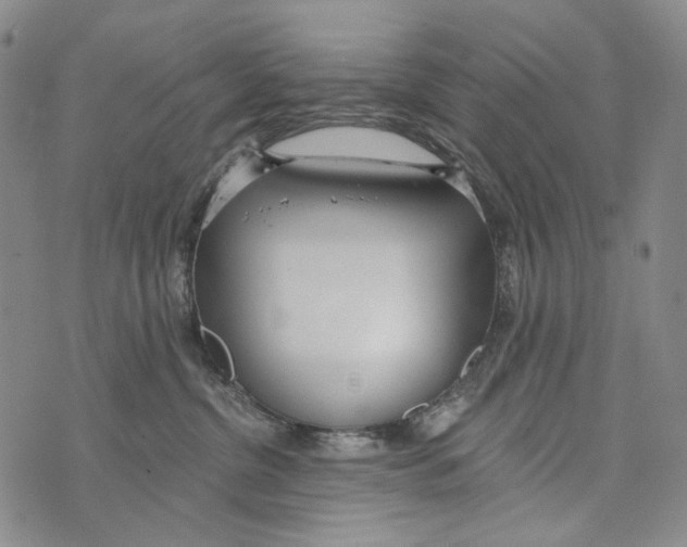 X0000073710380200608311800