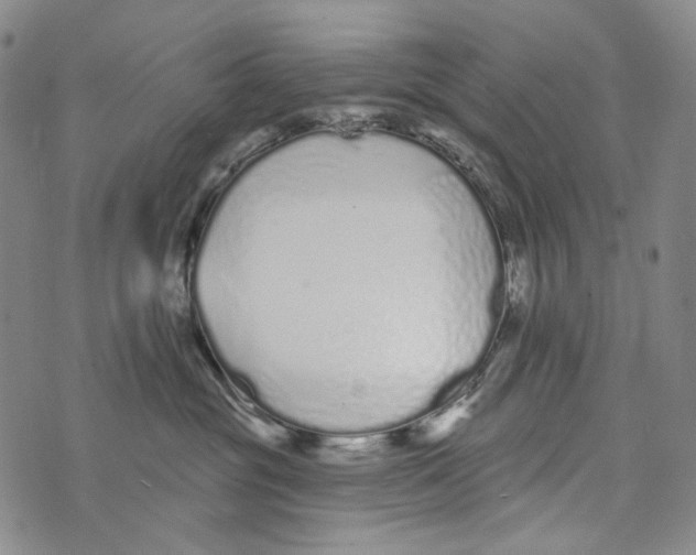 X0000073710381200608311800