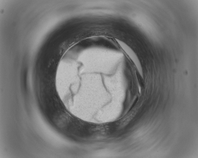 X0000073710383200608311801