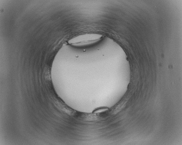 X0000073710384200608311801