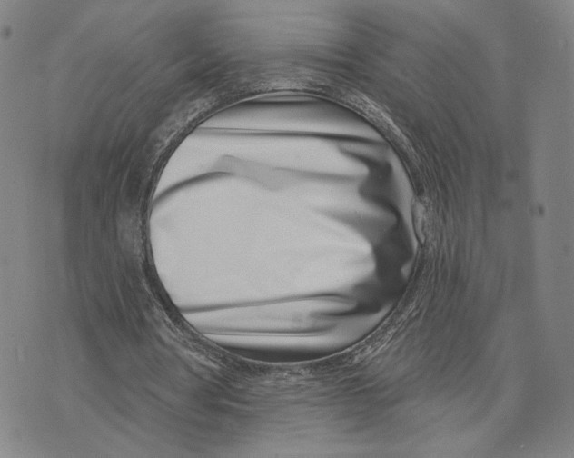 X0000073710386200608311800