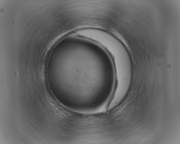 X0000073710387200608311800