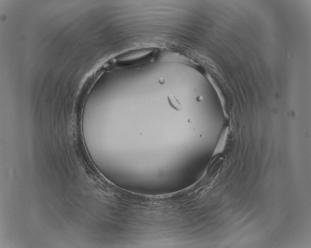 X0000073710388200608311800