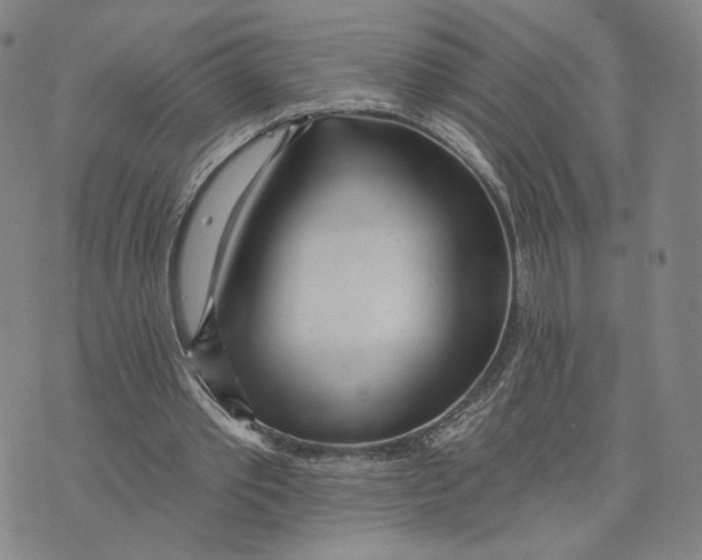 X0000073710389200608311800