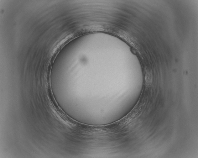 X0000073710390200608311800