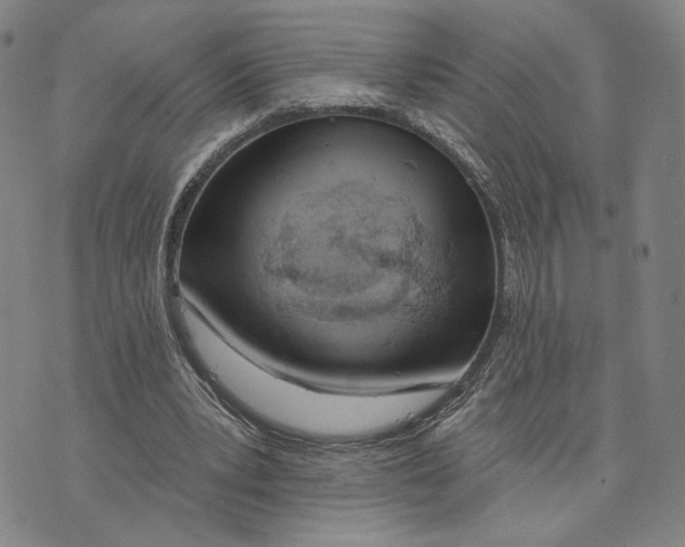 X0000073710391200608311800