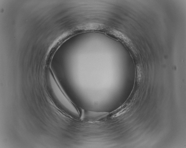 X0000073710392200608311800