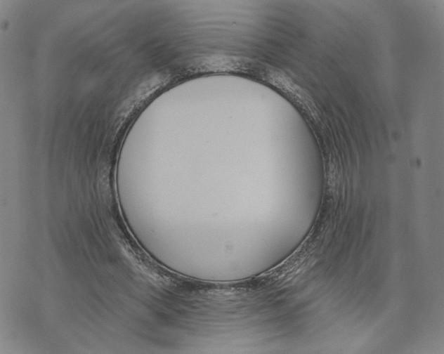 X0000073710394200608311800