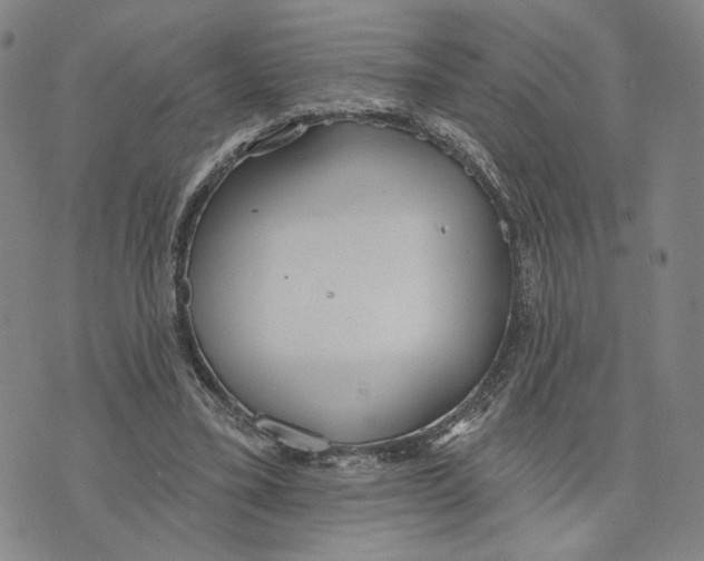 X0000073710395200608311800