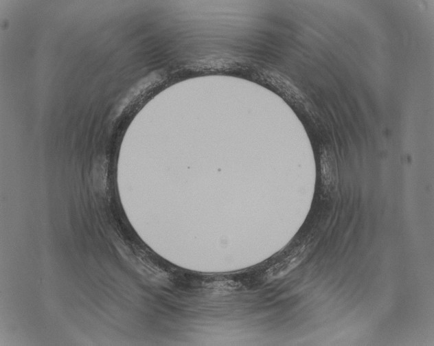 X0000073710396200608311800