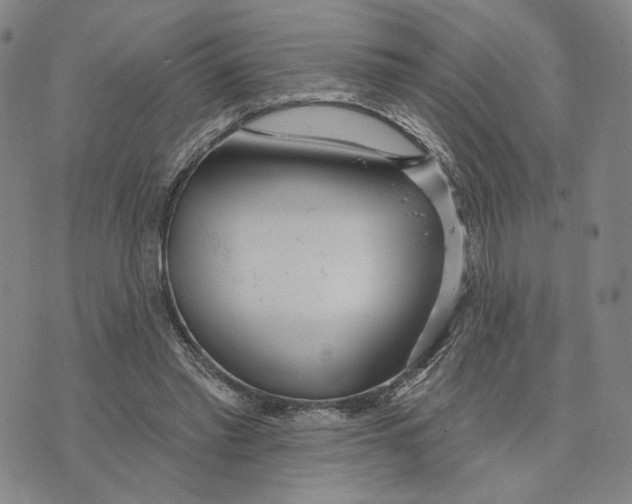 X0000073710397200608311800