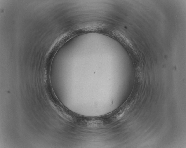 X0000073710400200608311800