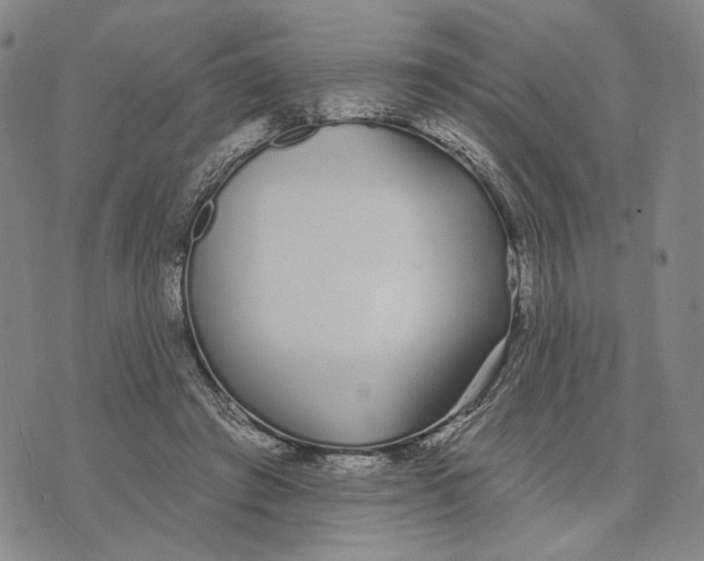 X0000073710401200608311800