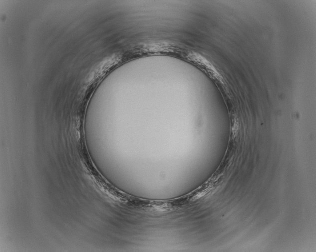 X0000073710402200608311759