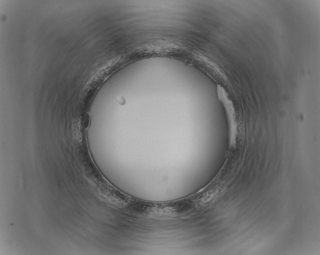 X0000073710403200608311759