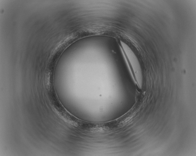 X0000073710404200608311759