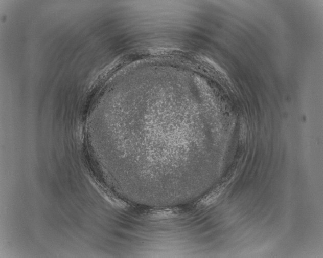 X0000073710405200608311759