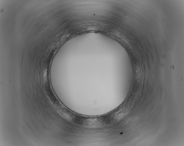 X0000073710406200608311759