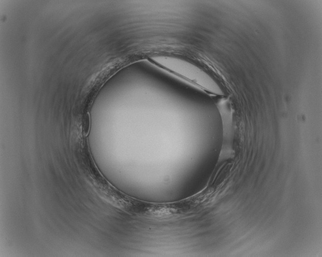 X0000073710407200608311759