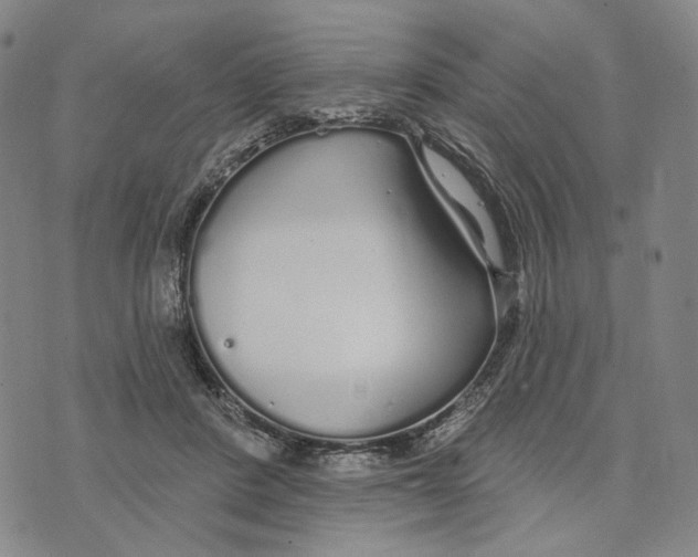 X0000073710408200608311759