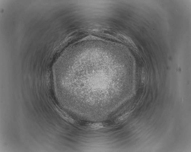 X0000073710409200608311759