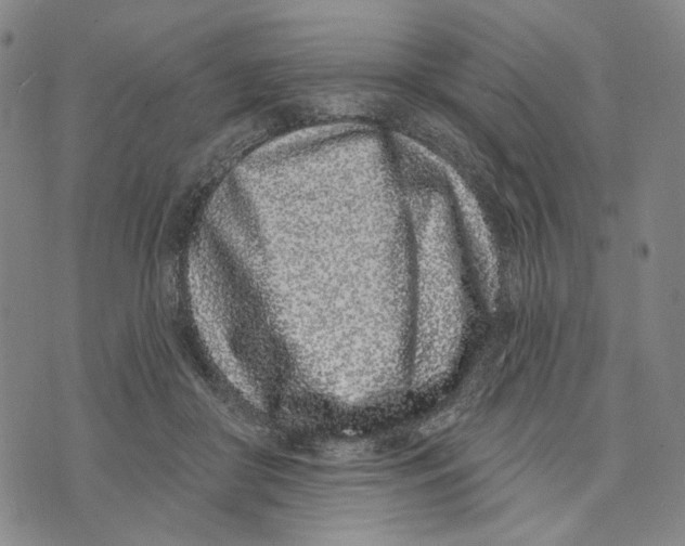 X0000073710410200608311759