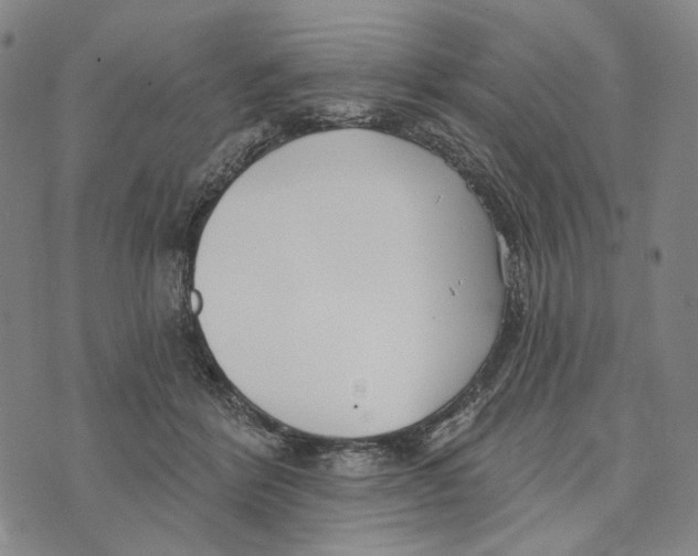 X0000073710412200608311759