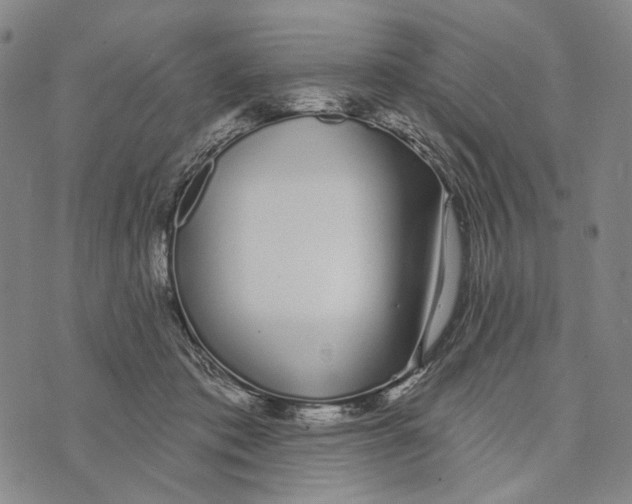 X0000073710413200608311759