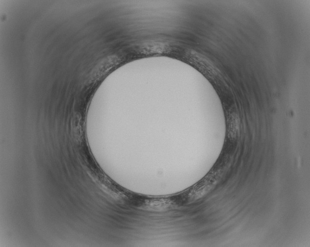 X0000073710414200608311759