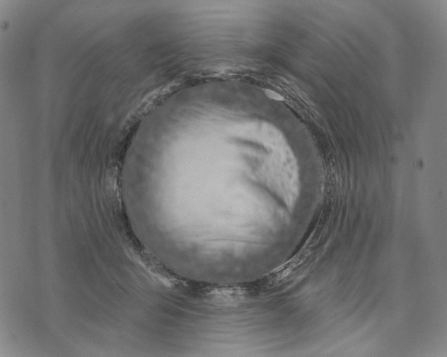 X0000073710415200608311759