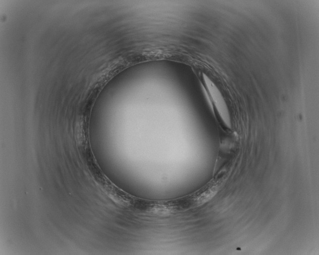 X0000073710416200608311759