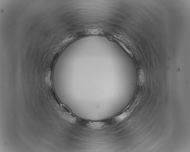 X0000073710417200608311759