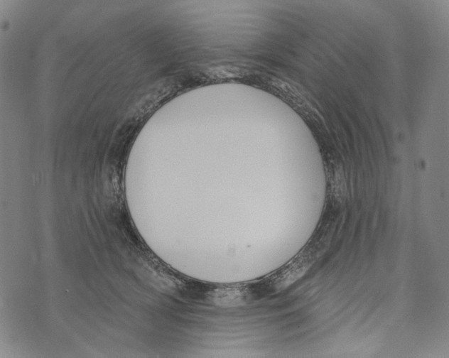 X0000073710418200608311759