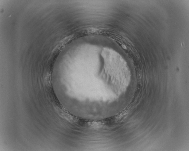 X0000073710419200608311759