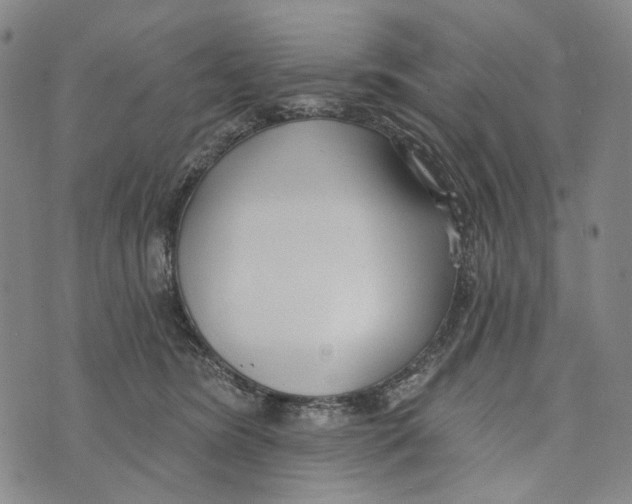 X0000073710420200608311759