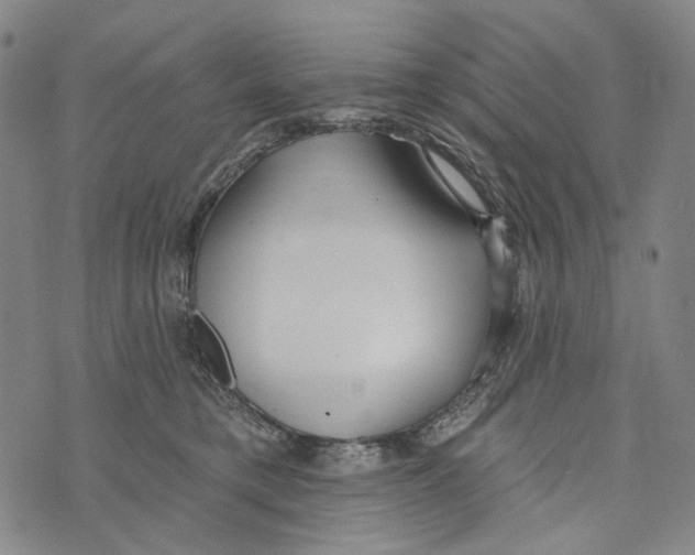 X0000073710421200608311759