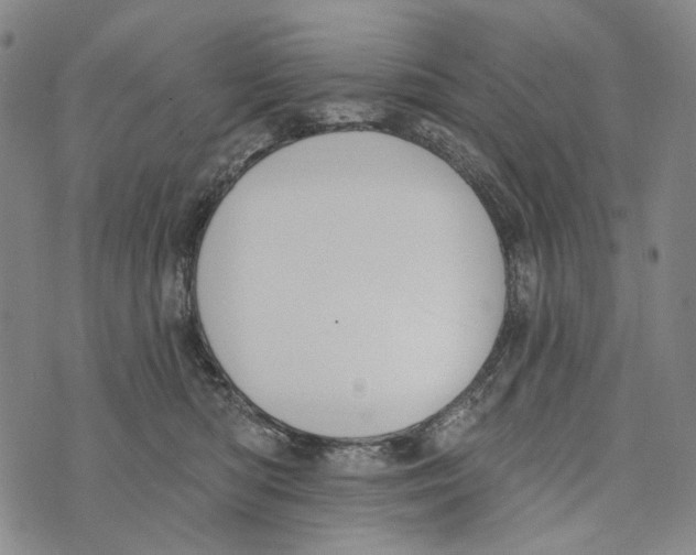 X0000073710422200608311759