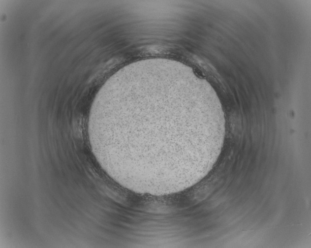 X0000073710423200608311759