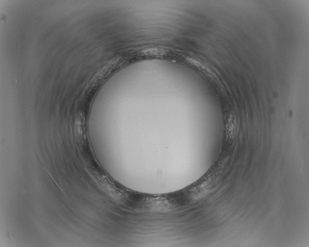 X0000073710424200608311759