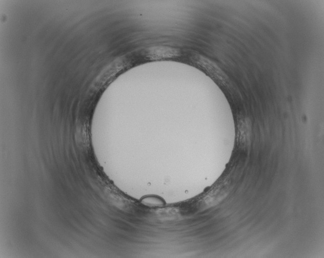 X0000073710426200608311759