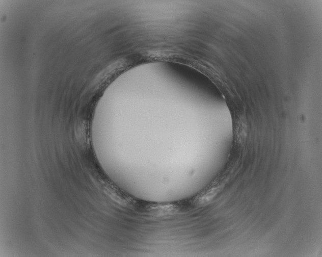 X0000073710428200608311759