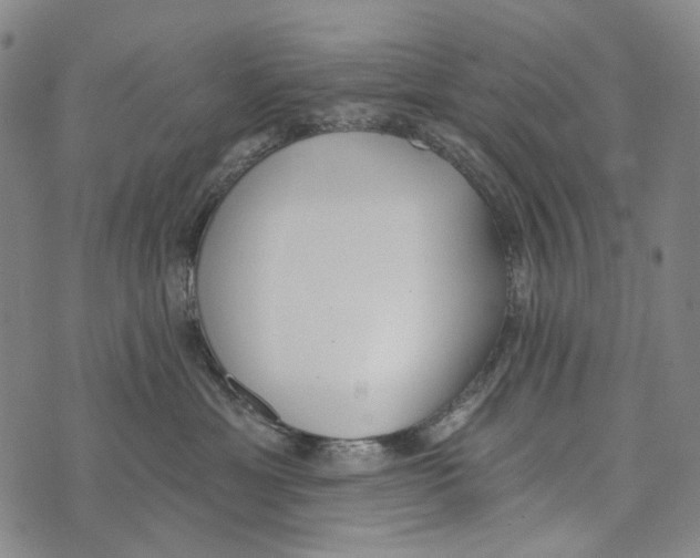 X0000073710429200608311759