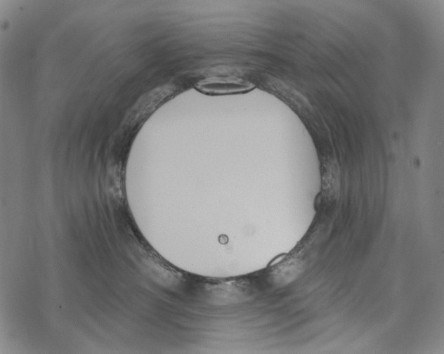 X0000073710430200608311759