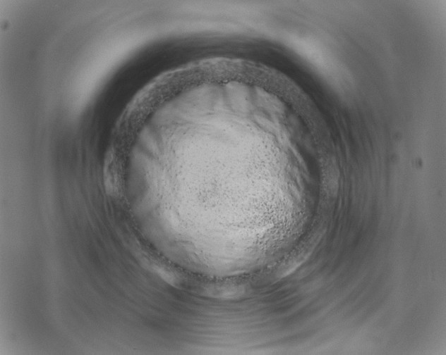 X0000073710431200608311759