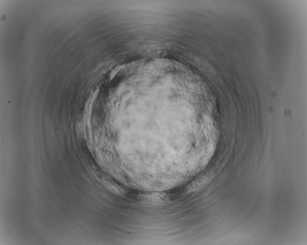 X0000073710432200608311759