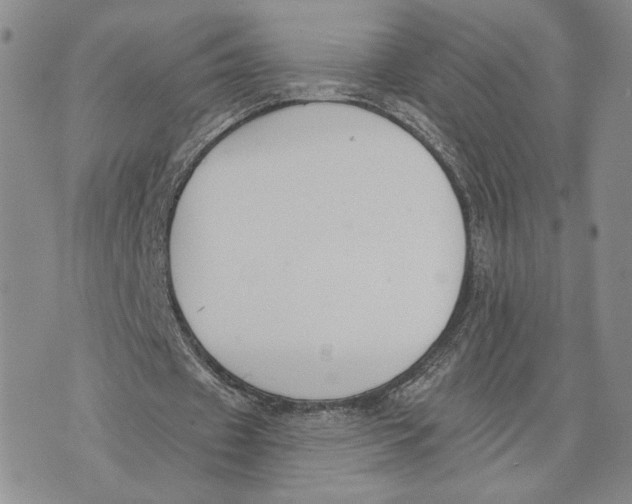 X0000073710433200608311758