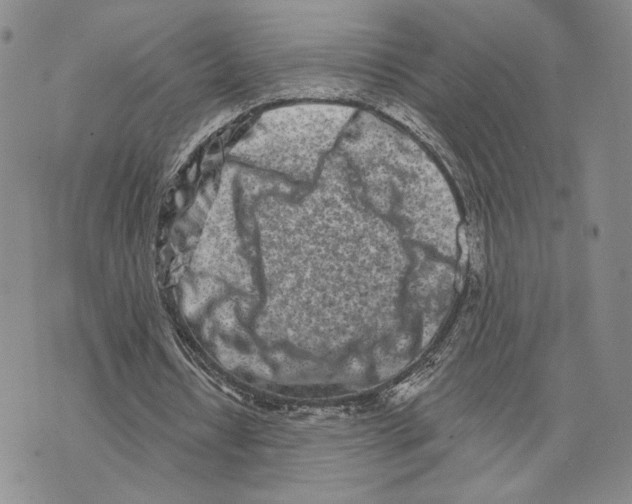 X0000073710434200608311758